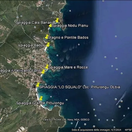 Biggy * Olbia