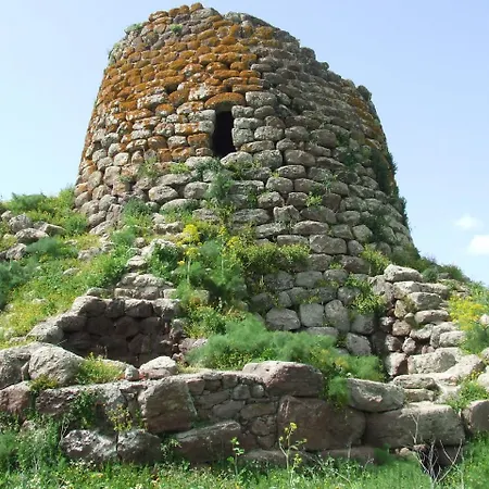 Lejlighed Biggy Olbia